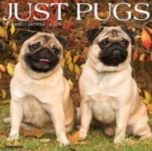 Just Pugs 2025 12 X 12 Wall Calendar