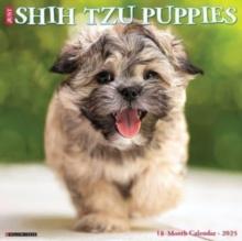 Just Shih Tzu Puppies 2025 12 X 12 Wall Calendar