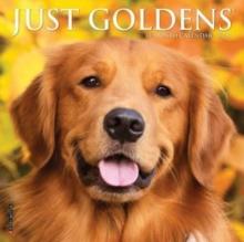 Just Goldens 2025 7 X 7 Mini Wall Calendar