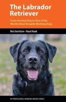 The Labrador Retriever : From Hunting Dog to One of the World's Most Versatile Working Dogs