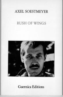 Rush of Wings