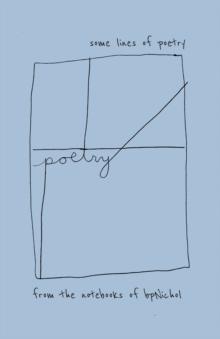 Some Lines of Poetry : From the Notebooks of bpNichol