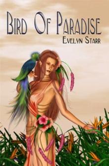 Bird of Paradise