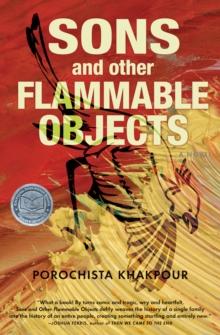 Sons and Other Flammable Objects : A Novel