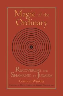 Magic of the Ordinary : Recovering the Shamanic in Judaism