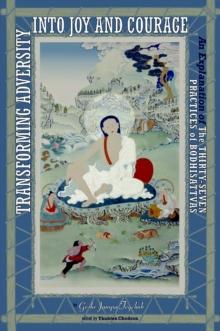 Transforming Adversity into Joy and Courage : An Explanation of the Thirty-Seven Practices of Bodhisattvas