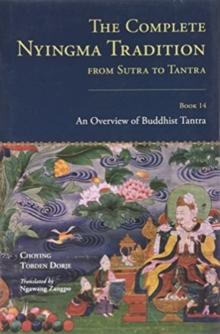 The Complete Nyingma Tradition from Sutra to Tantra, Book 14 : An Overview of Buddhist Tantra