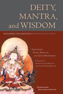 Deity, Mantra, and Wisdom : Development Stage Meditation in Tibetan Buddhist Tantra