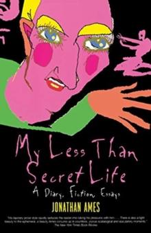 My Less Than Secret Life : A Diary, Fiction, Essays