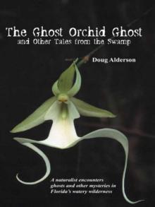 The Ghost Orchid Ghost : And Other Tales from the Swamp