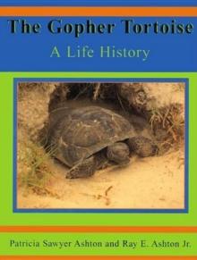 The Gopher Tortoise : A Life Story