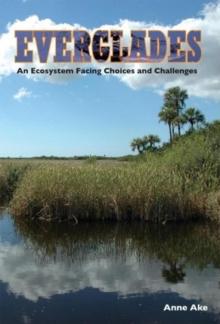 Everglades : An Ecosystem Facing Choices and Challenges