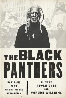 The Black Panthers : Portraits from an Unfinished Revolution