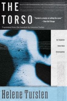 Torso