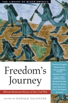 Freedom's Journey : African American Voices of the Civil War