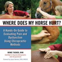 Where Does My Horse Hurt? : A Hands-On Guide to Evaluating Pain and Dysfunction Using Chiropractic Methods