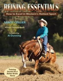 Reining Essentials : How to Excel in Western's Hottest Sport