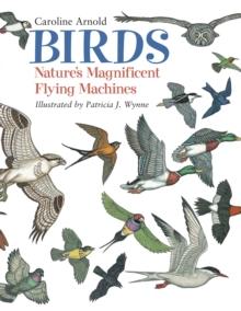 Birds : Nature's Magnificent Flying Machines