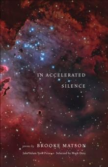 In Accelerated Silence : Poems