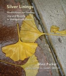 Silver Linings : Meditations on Finding Joy and Beauty in Unexpected Places