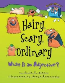 Hairy, Scary, Ordinary : What Is an Adjective?