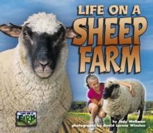 Life on a Sheep Farm