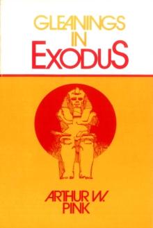 Gleanings in Exodus