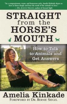 Straight from the Horse's Mouth : How to Talk to Animals and Get Answers