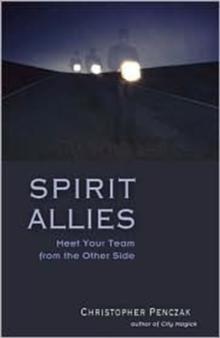 Spirit Allies : Meet Your Team from the Other Side