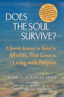 Does the Soul Survive? : A Jewish Journey to Belief in the Afterlife Past Lives and Living with Purpose