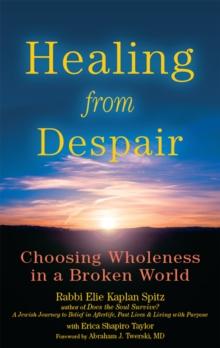 Healing from Despair : Choosing Wholeness in a Broken World