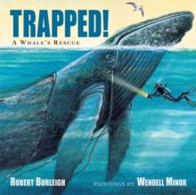 Trapped! A Whale's Rescue