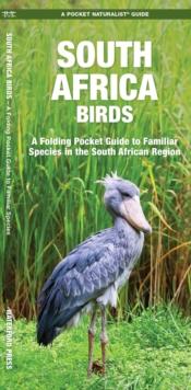 South Africa Birds : A Folding Pocket Guide to Familiar Species