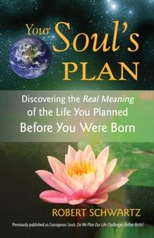 Your Soul's Plan : Discovering the Real Meaning of the Life You Planned Before You Were Born