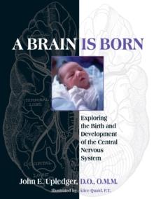 A Brain Is Born : Exploring the Birth and Development of the Central Nervous System