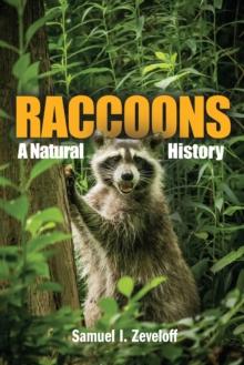 Raccoons