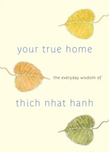 Your True Home : The Everyday Wisdom of Thich Nhat Hanh