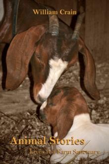 Animal Stories : Lives at a Farm Sanctuary