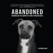 Abandoned : Chronicling The Journeys Of Once-Forsaken Dogs