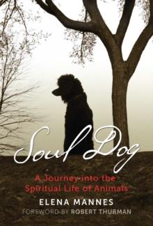 Soul Dog : A Journey into the Spiritual Life of Animals