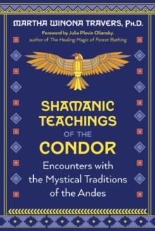 Shamanic Teachings of the Condor : Encounters with the Mystical Traditions of the Andes