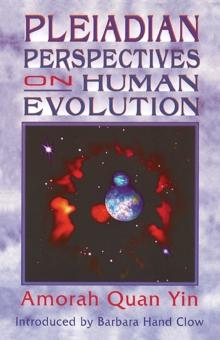 Pleiadian Perspectives on Human Evolution