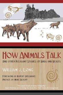 How Animals Talk : And Other Pleasant Studies of Birds and Beasts