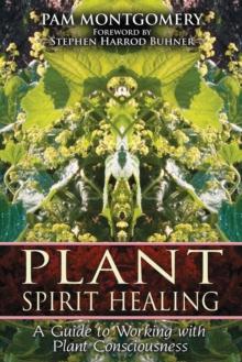 Plant Spirit Healing : A Guide to Working with Plant Consciousness