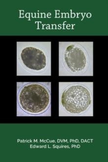 Equine Embryo Transfer