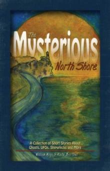 The Mysterious North Shore : A Collection of Short Stories About Ghosts, UFOs, Shipwrecks and More