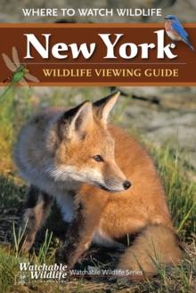 New York Wildlife Viewing Guide : Where to Watch Wildlife