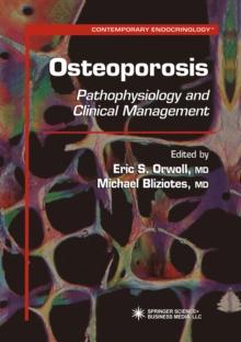 Osteoporosis : Pathophysiology and Clinical Management