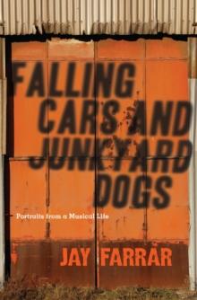 Falling Cars and Junkyard Dogs