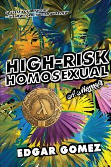 High-risk Homosexual : A Memoir